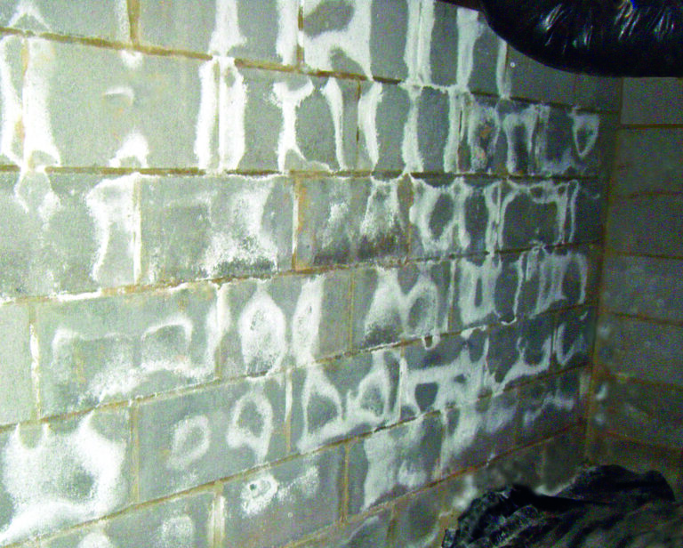 Understanding Efflorescence: The Common Culprits in Your Basement or Crawlspace
